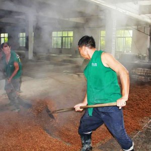 喚醒兩千余條窖池，新的釀酒季由此開始