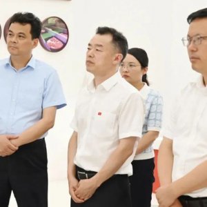 省農(nóng)業(yè)農(nóng)村廳黨組書記、廳長汪學軍一行來臨調(diào)研