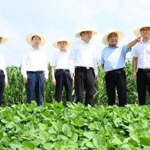 梁言順在阜陽市調(diào)研時強(qiáng)調(diào) 堅持多種糧種好糧全力保障國家糧食安全 加快皖北地區(qū)全面振興步伐 ...
